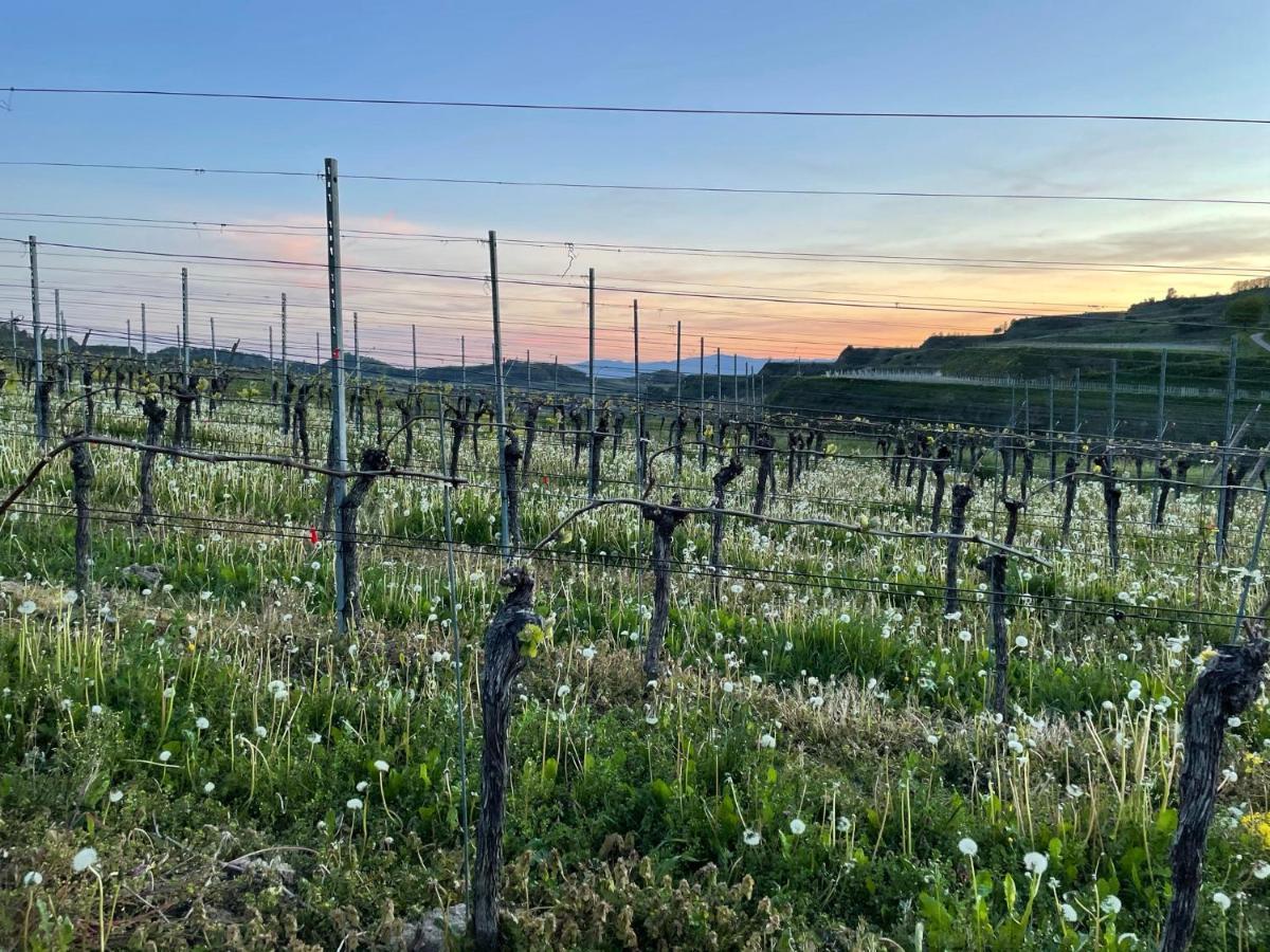 Weingut & Strausswirtschaft Vogel Apartment โฟกท์สบวร์ก ภายนอก รูปภาพ