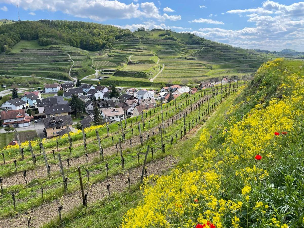 Weingut & Strausswirtschaft Vogel Apartment โฟกท์สบวร์ก ภายนอก รูปภาพ