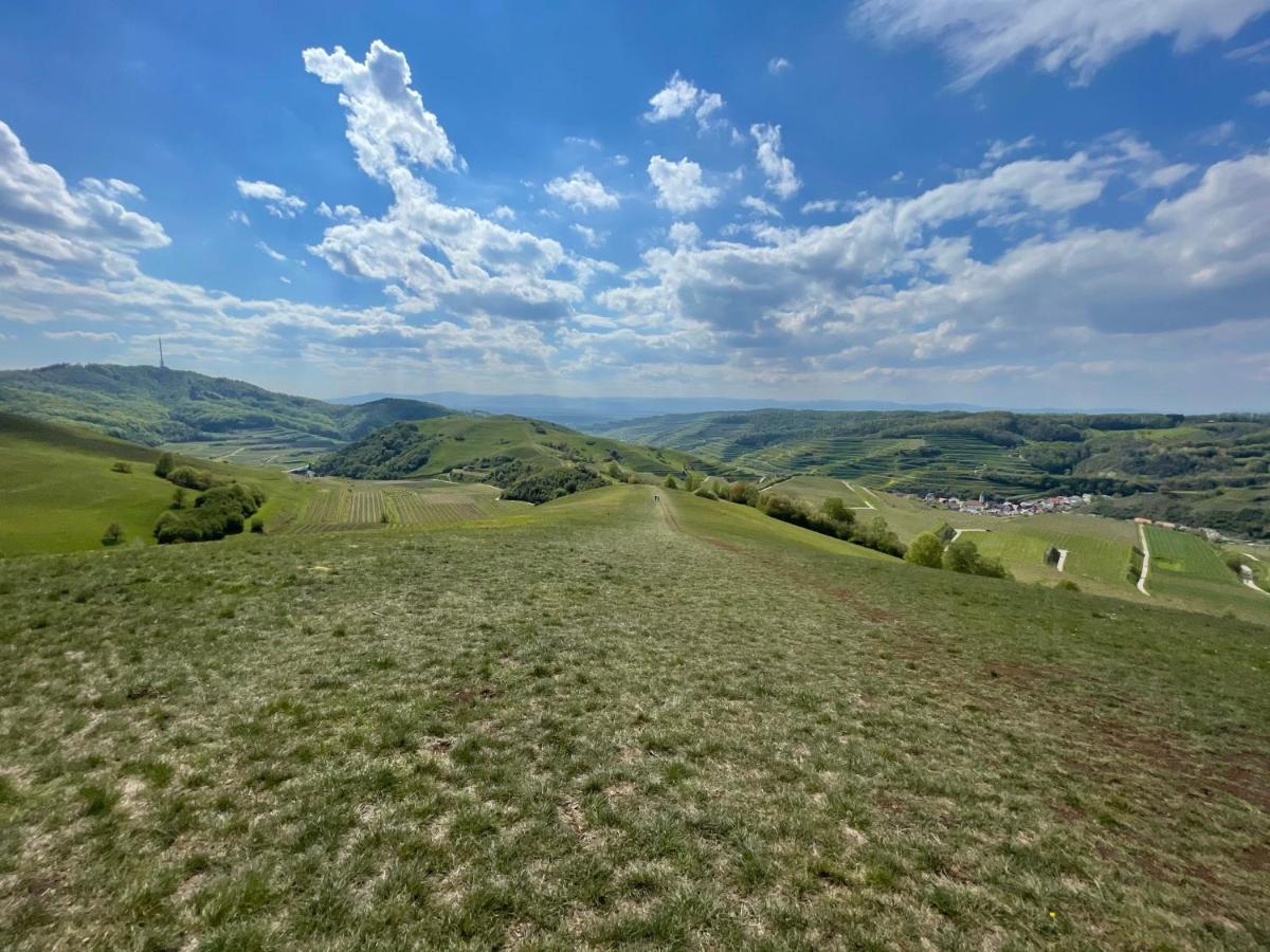 Weingut & Strausswirtschaft Vogel Apartment โฟกท์สบวร์ก ภายนอก รูปภาพ