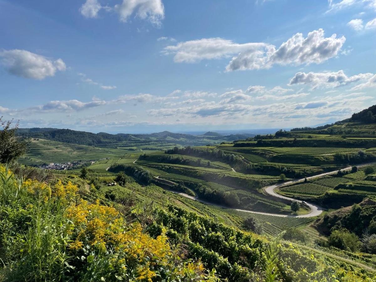 Weingut & Strausswirtschaft Vogel Apartment โฟกท์สบวร์ก ภายนอก รูปภาพ