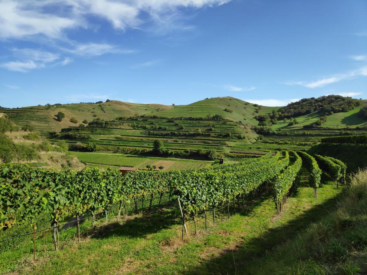 Weingut & Strausswirtschaft Vogel Apartment โฟกท์สบวร์ก ภายนอก รูปภาพ