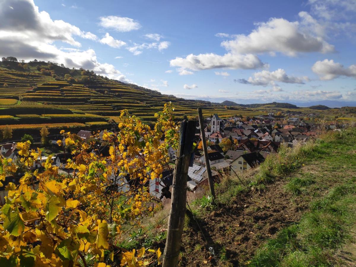 Weingut & Strausswirtschaft Vogel Apartment โฟกท์สบวร์ก ภายนอก รูปภาพ