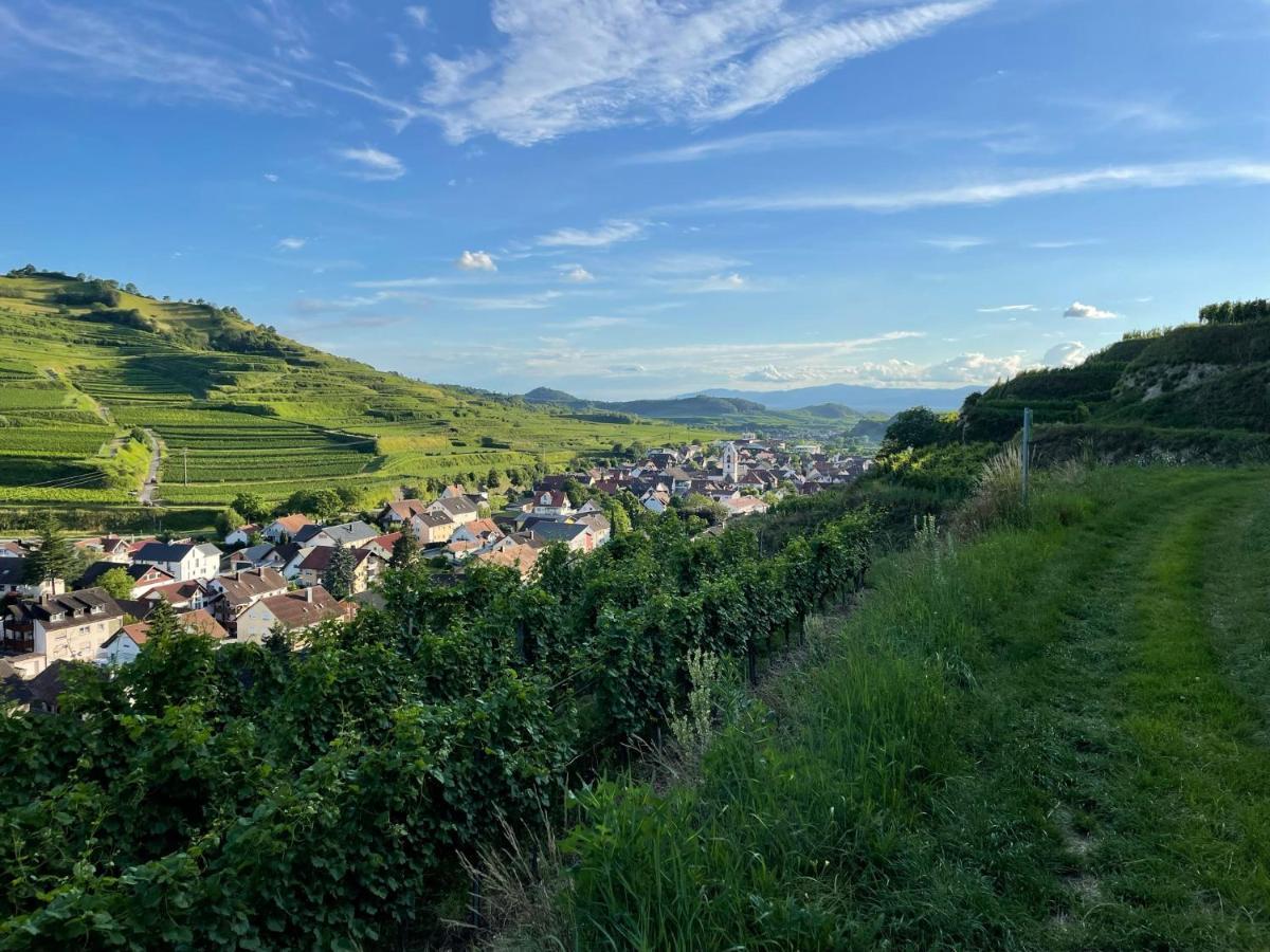 Weingut & Strausswirtschaft Vogel Apartment โฟกท์สบวร์ก ภายนอก รูปภาพ