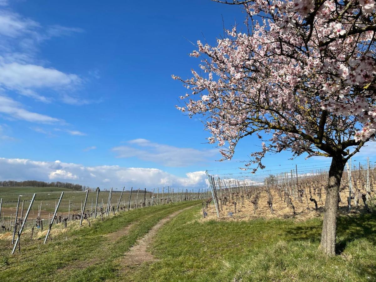 Weingut & Strausswirtschaft Vogel Apartment โฟกท์สบวร์ก ภายนอก รูปภาพ