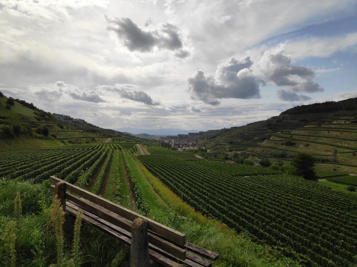 Weingut & Strausswirtschaft Vogel Apartment โฟกท์สบวร์ก ภายนอก รูปภาพ