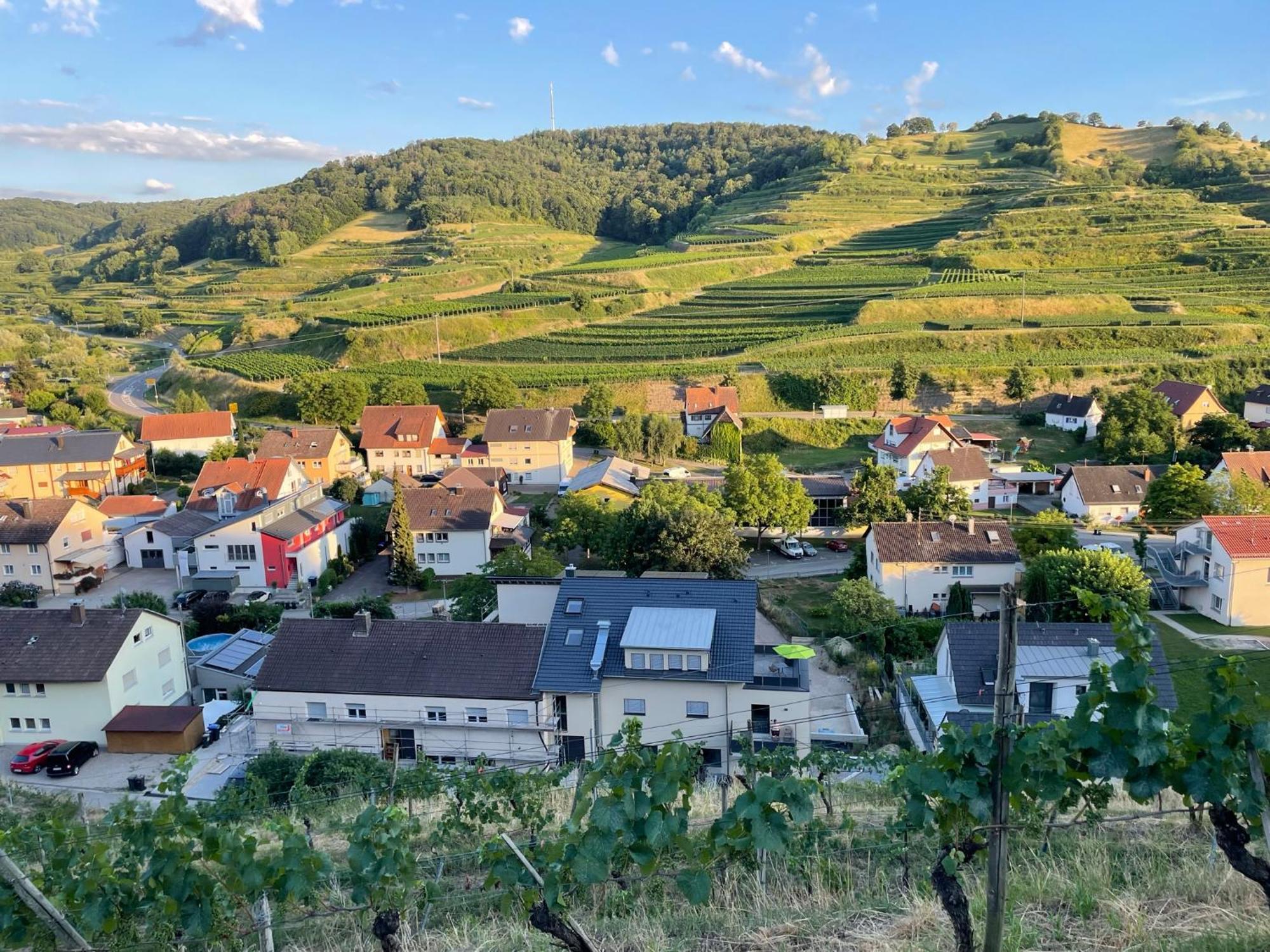 Weingut & Strausswirtschaft Vogel Apartment โฟกท์สบวร์ก ภายนอก รูปภาพ